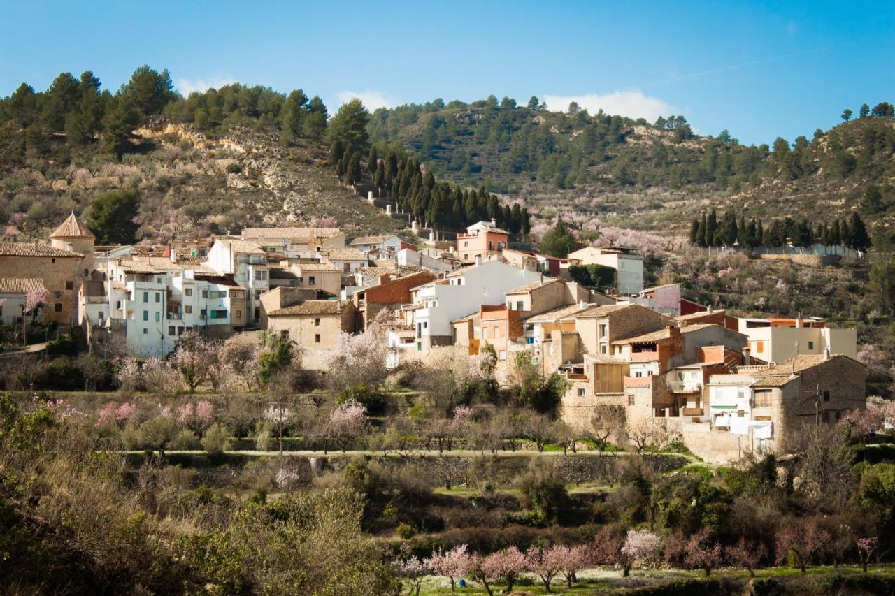 Casa Amparo - Alquiler Integro Con Encanto En Alicante Alcoleja Eksteriør billede