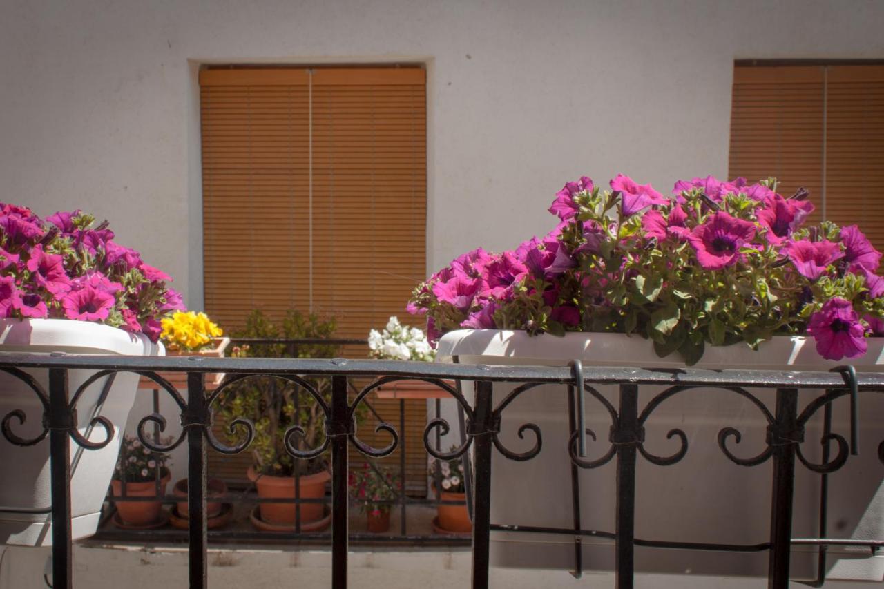 Casa Amparo - Alquiler Integro Con Encanto En Alicante Alcoleja Eksteriør billede
